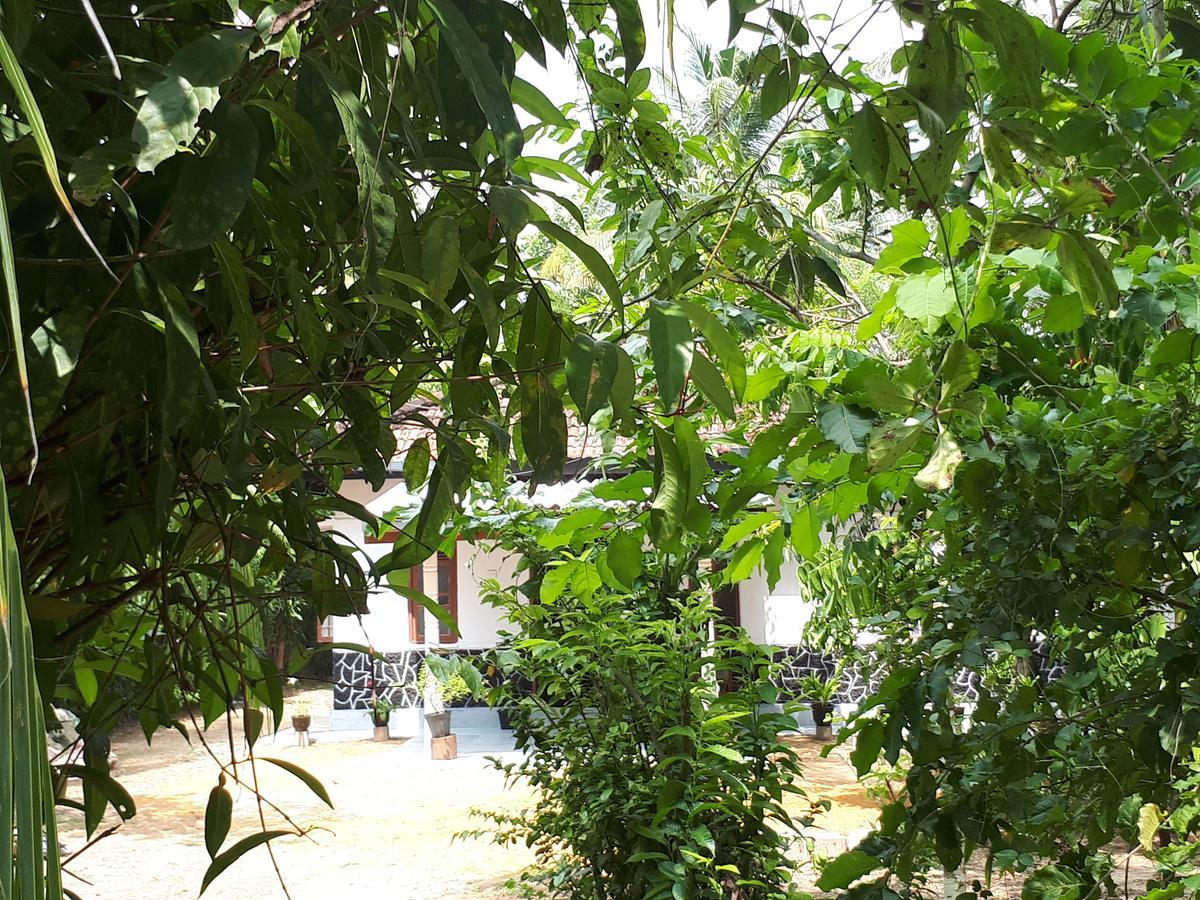 New Sam Tourist Inn Weligama Εξωτερικό φωτογραφία