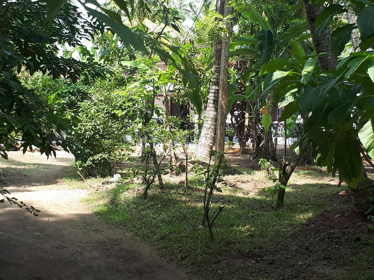 New Sam Tourist Inn Weligama Εξωτερικό φωτογραφία